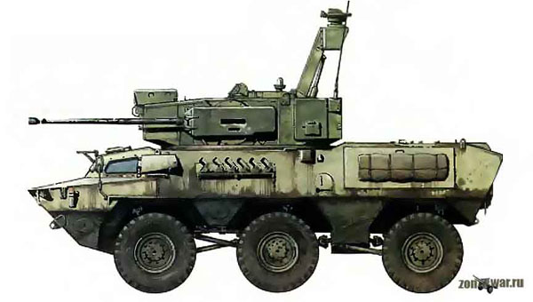     Wildcat